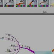 IMindMap 5 Styles