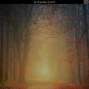 Screencast Wayland GNOME Arch Linux Share LIKE FOLLOW ME
