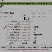 3 Pt Testcross