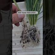 Nursery Hack To Save A Ton Of