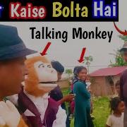 Talking Monkey Comedy Video Monkey Funny Video Monkey Puppet Mr Kalu Bandar Funny Videos