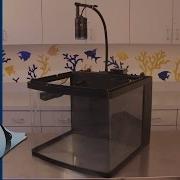 BioCube Hacks 6 Easy Ways To Upgrade Your Nano