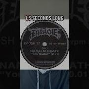 What S The Shortest Song Ever Napalm Death You Suffer Super Fast Music Fact MusicFact