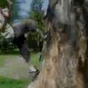 Wall Flip 2 Steps