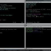 Python Network Programming UDP