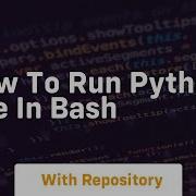 How To Run Python File In Bash