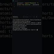 How To Hide User Input In Python