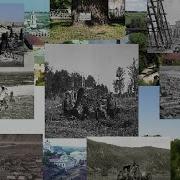 Где старые деревья Факты из истории и разоблачение