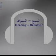 Berard Auditory Integration Training AIT