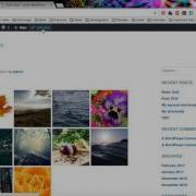 Featured Image Pro Basic Shortcode