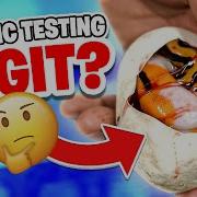Does Genetic Testing REALLY WORK