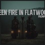 Green Fire In Flatwoods