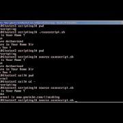 Bash Scripting Part IX Case Statment