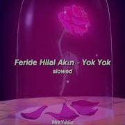 Feride Hilal Akın Yok Yok Slowed Reverb
