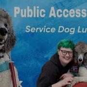 Lucky S Public Access Test