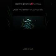 Blooming Flower Animation With CSS Programming Coding Html Css Js Webdevelopment Python Yt