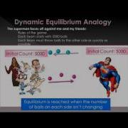 Dynamic Equilibrium Concept