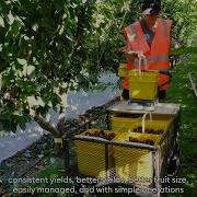 Future Orchard Planting System FOPS