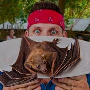 Philippines EXTREME Food Tour From Manila To Buscalan
