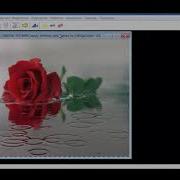 Создание анимации водные эффекты в программе Sqirlz Water Reflections