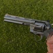 Colt Python 357 Magnum Quick Video