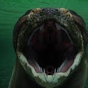 Titanoboa Monster Snake Full Episode