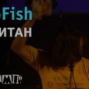 TripFish Капитан Live