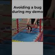 Avoiding A Bug During My Demo