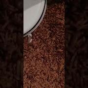 Xiaomi MI Robot C1