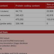 Next Generation Gene Expression Array Human Transcriptome Array HTA