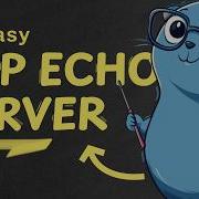 Building A TCP Echo Server In Go Networking Basics