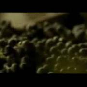 Sibel Can Kıskıvrak Carol Samaha Ghali 3alie 2004