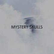 Mystery Skulls Told Ya Official Audio