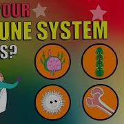 How Does Your Immune System Works What Is Immune System The Dr Binocs Show Peekaboo Kidz