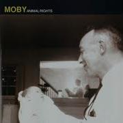 Moby Say It S All Mine Dynamic Edit