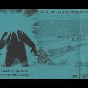 Flesh Eating Virus Head Wound Sadism Full Cassette Rip 2024