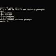 Installing Oracle Java7 On Ubuntu 12 10