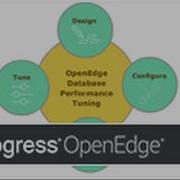Designing An OpenEdge Database For Performance