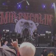 Millencolin Complete Show At Amnesia Rockfest 2016