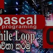 09 How To Work With While Loop Pascal Programming SINHALA