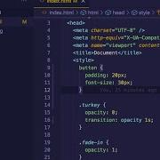 Beginner Javascript Practice Coding A Fade In Button Using CSS Transitions