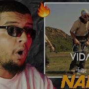 L Vibe Vida Reaction