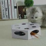 Electric Hexagon Maze Box Cat Toy