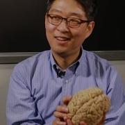 Mapping The Brain