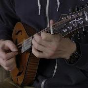 Collings MT A Model Mandolin Torrefied Top Elderly Instruments
