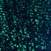 Random Pixels Background Video