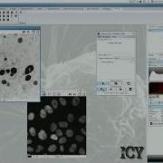 Active Cells Plug In For Icy