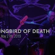 HUMMINGBIRD OF DEATH Live At Saint Vitus Bar May 27th 2019 FULL SET