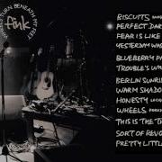 Fink Perfect Darkness Live