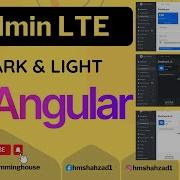 How To Integrate Admin LTE Theme In Angular Admin Template Angular Project In Hindi